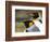 King Penguin, Falkland Islands, South Atlantic. Portrait-Martin Zwick-Framed Photographic Print