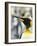 King Penguin, Falkland Islands, South Atlantic. Portrait-Martin Zwick-Framed Photographic Print