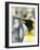 King Penguin, Falkland Islands, South Atlantic. Portrait-Martin Zwick-Framed Photographic Print