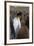 King Penguin Feeding Chick-Donald Paulson-Framed Giclee Print