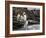 King penguin group on rocks, jumping into South Atlantic. St Andrews Bay, South Georgia-Tony Heald-Framed Photographic Print