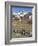 King Penguin on the island of South Georgia, rookery in Fortuna Bay. Adults molting.-Martin Zwick-Framed Photographic Print