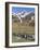 King Penguin on the island of South Georgia, rookery in Fortuna Bay. Adults molting.-Martin Zwick-Framed Photographic Print