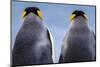 King penguin pair, South Georgia Island-Art Wolfe Wolfe-Mounted Photographic Print