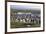 King penguin rookery at Salisbury Plain. South Georgia Islands.-Tom Norring-Framed Photographic Print