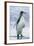 King Penguin Walking on Beach-DLILLC-Framed Photographic Print