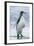 King Penguin Walking on Beach-DLILLC-Framed Photographic Print