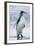 King Penguin Walking on Beach-DLILLC-Framed Photographic Print