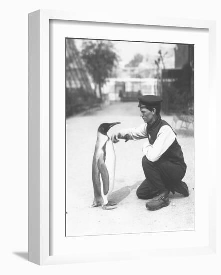 King Penguin, with Keeper Harry Munro, 1914-Frederick William Bond-Framed Photographic Print