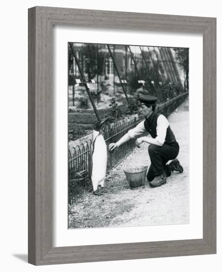 King Penguin-Frederick William Bond-Framed Giclee Print