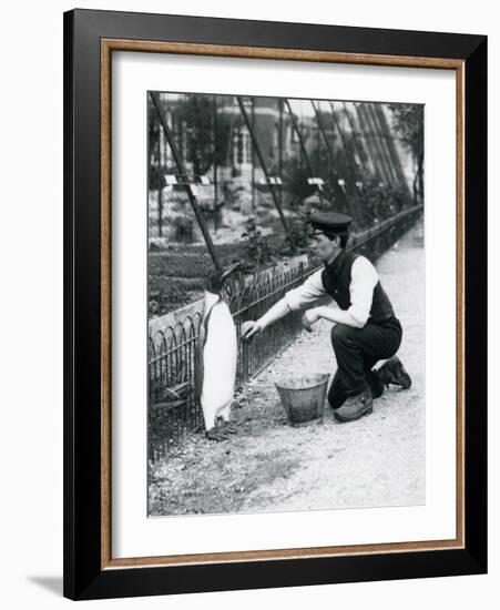 King Penguin-Frederick William Bond-Framed Giclee Print