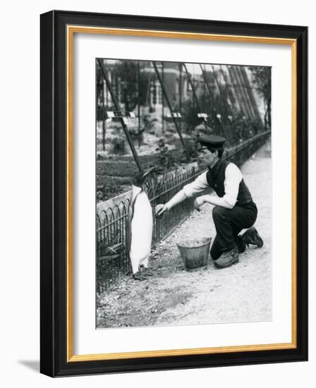 King Penguin-Frederick William Bond-Framed Giclee Print