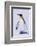 King Penguin-DLILLC-Framed Photographic Print