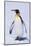 King Penguin-DLILLC-Mounted Photographic Print