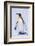 King Penguin-DLILLC-Framed Photographic Print