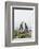 King Penguins (Aptenodytes Patagonicus) Courtship Display on the Beach-Michael Nolan-Framed Photographic Print