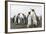 King Penguins (Aptenodytes Patagonicus) on the Beach at Gold Harbour, South Georgia, Polar Regions-Michael Nolan-Framed Photographic Print