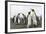 King Penguins (Aptenodytes Patagonicus) on the Beach at Gold Harbour, South Georgia, Polar Regions-Michael Nolan-Framed Photographic Print