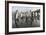 King Penguins (Aptenodytes Patagonicus) on the Beach at Gold Harbour, South Georgia, Polar Regions-Michael Nolan-Framed Photographic Print