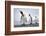 King penguins group, St. Andrews Bay, South Georgia-Alex Hyde-Framed Photographic Print