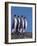 King Penguins in a Mating Ritual March, South Georgia Island-Charles Sleicher-Framed Photographic Print