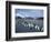 King Penguins on Cook Glacier, South Georgia Island, Antarctica-Hugh Rose-Framed Photographic Print