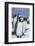 King Penguins Standing in Snow-DLILLC-Framed Photographic Print