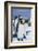 King Penguins Standing in Snow-DLILLC-Framed Photographic Print