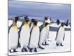 Premium Photographic Print