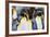 King Penguins-DLILLC-Framed Photographic Print