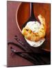 King Prawn in Coconut Sauce with Vanilla and Cardamom-Armin Zogbaum-Mounted Photographic Print