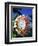 King Protea on Maui-Darrell Gulin-Framed Photographic Print