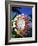 King Protea on Maui-Darrell Gulin-Framed Photographic Print