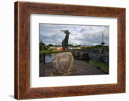 King Puck, Killorglin, County Kerry, Munster, Republic of Ireland, Europe-Carsten Krieger-Framed Photographic Print