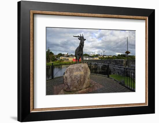 King Puck, Killorglin, County Kerry, Munster, Republic of Ireland, Europe-Carsten Krieger-Framed Photographic Print