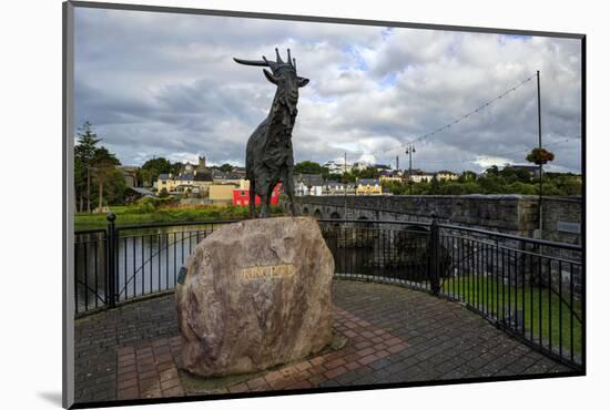 King Puck, Killorglin, County Kerry, Munster, Republic of Ireland, Europe-Carsten Krieger-Mounted Photographic Print
