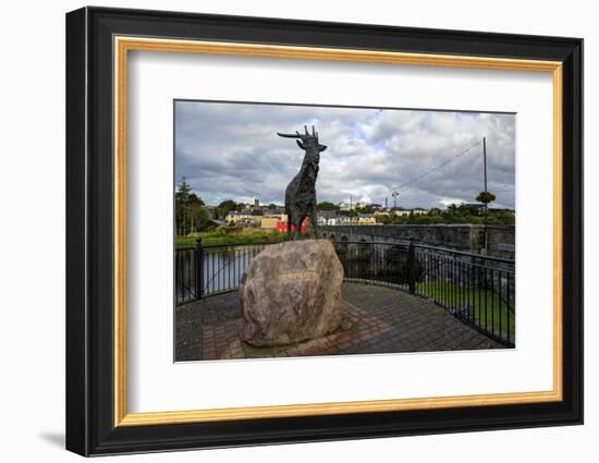 King Puck, Killorglin, County Kerry, Munster, Republic of Ireland, Europe-Carsten Krieger-Framed Photographic Print