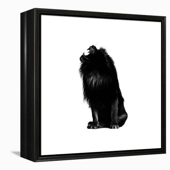 King Push-Alex Cherry-Framed Stretched Canvas