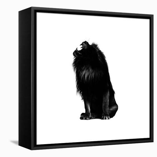 King Push-Alex Cherry-Framed Stretched Canvas