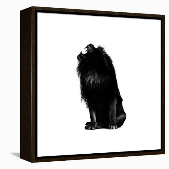 King Push-Alex Cherry-Framed Stretched Canvas