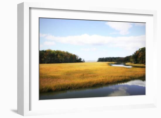 King's Creek I-Alan Hausenflock-Framed Photographic Print