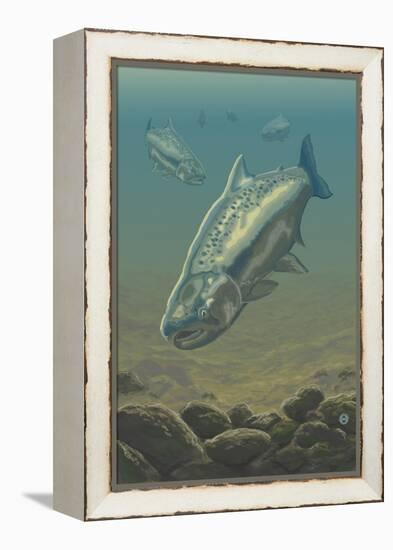 King Salmon Underwater-Lantern Press-Framed Stretched Canvas