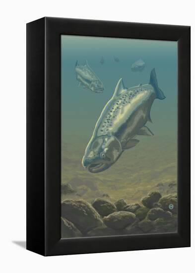 King Salmon Underwater-Lantern Press-Framed Stretched Canvas