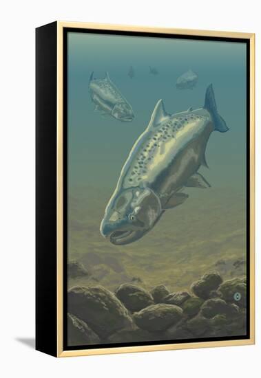 King Salmon Underwater-Lantern Press-Framed Stretched Canvas