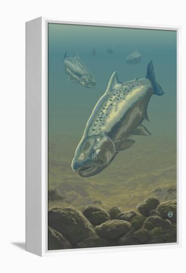 King Salmon Underwater-Lantern Press-Framed Stretched Canvas