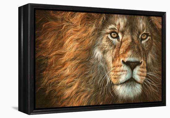 King-David Stribbling-Framed Stretched Canvas