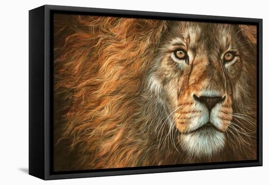 King-David Stribbling-Framed Stretched Canvas