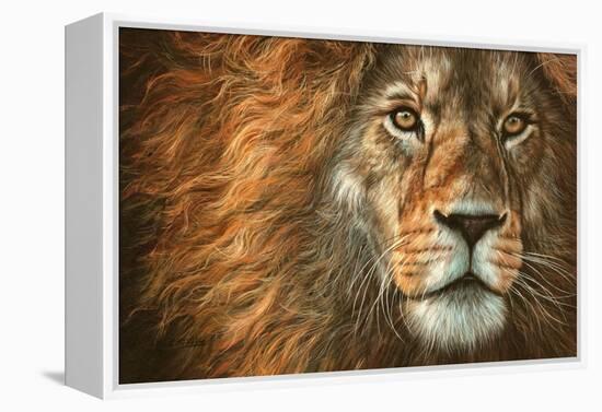 King-David Stribbling-Framed Stretched Canvas