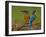 Kingfisher (Alcedo Atthis)-Stefan Benfer-Framed Photographic Print