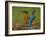 Kingfisher (Alcedo Atthis)-Stefan Benfer-Framed Photographic Print